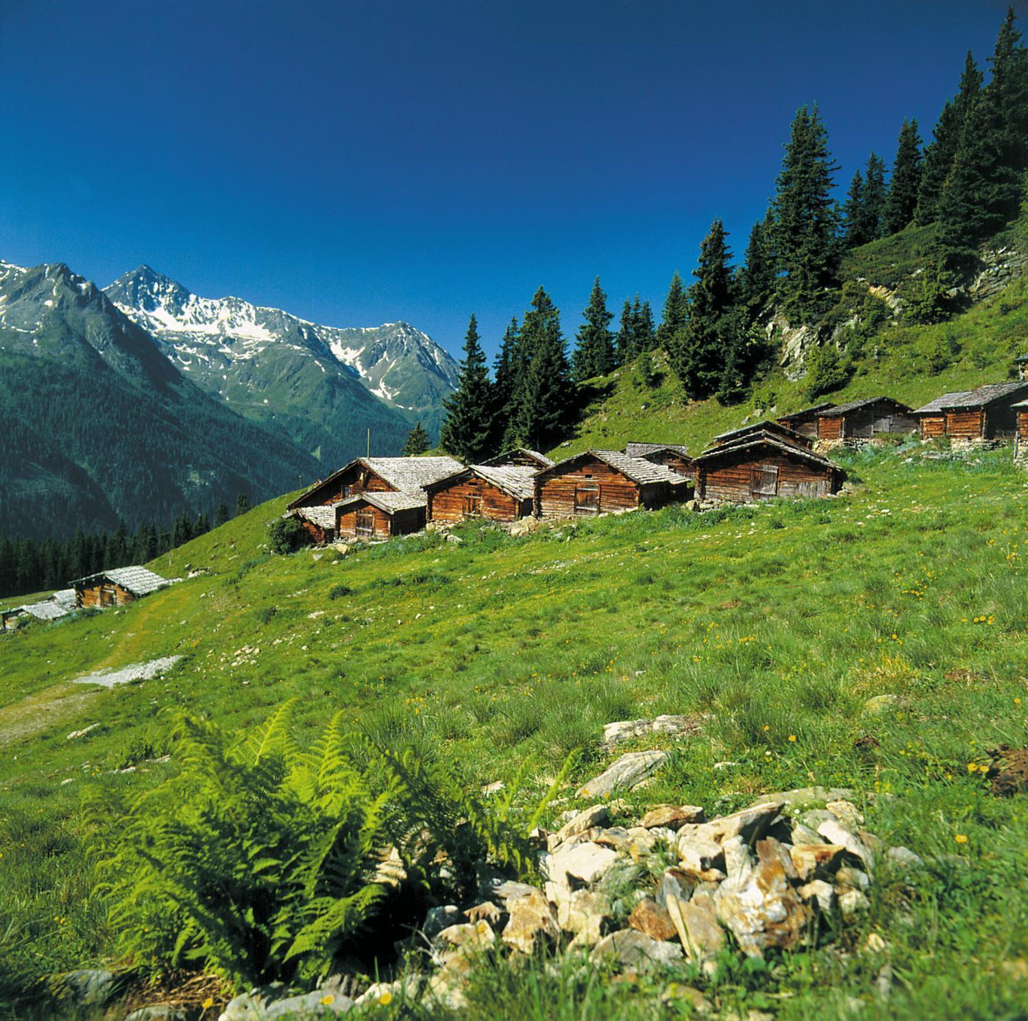 Hotel Alpenkoenigin - Sommer Silvretta Premium Card Inklusive 시 외부 사진
